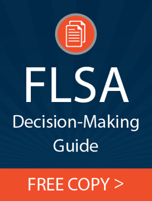 CTA blog_FLSA Decision making guide download